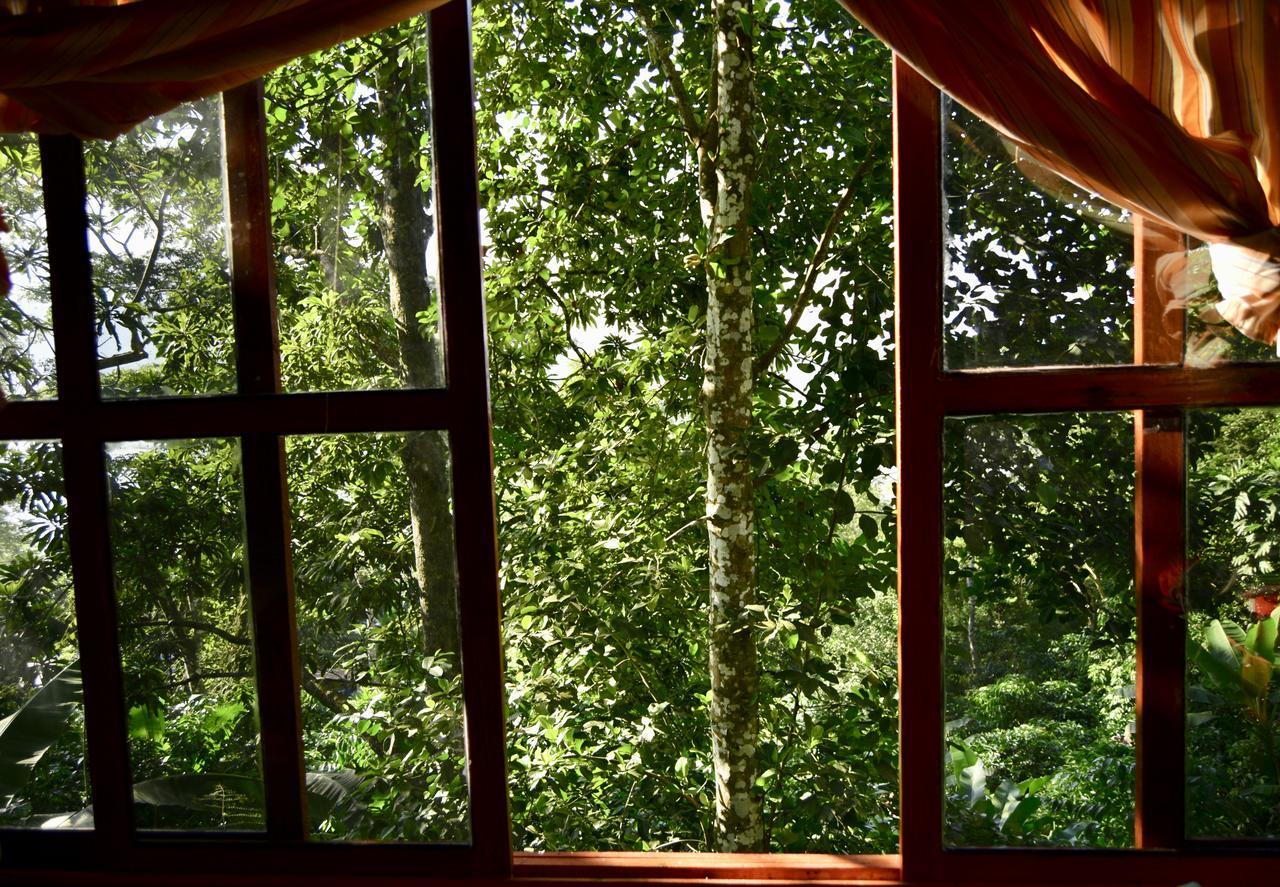 카테마코 Centro Ecoturistico Cabanas Encantadas 빌라 외부 사진