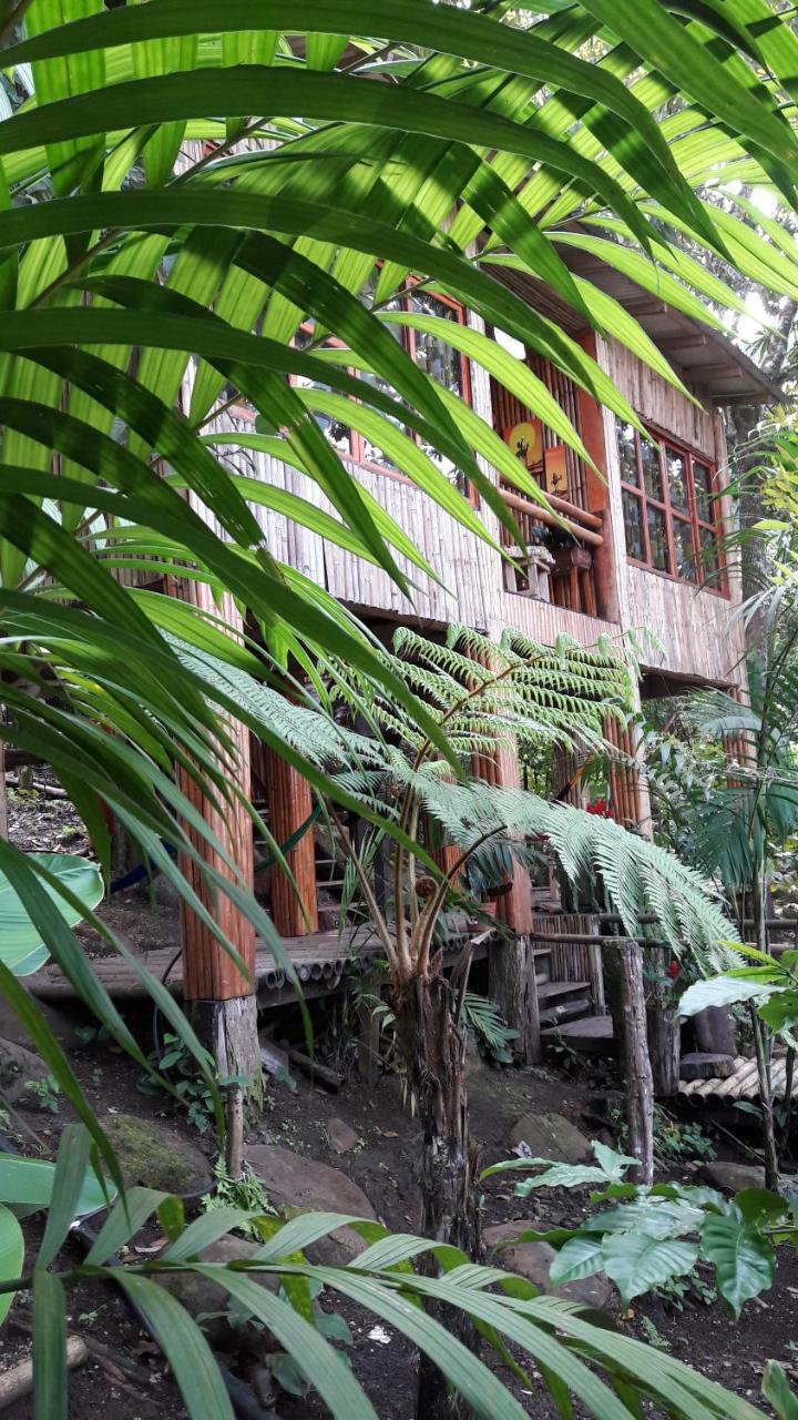 카테마코 Centro Ecoturistico Cabanas Encantadas 빌라 외부 사진